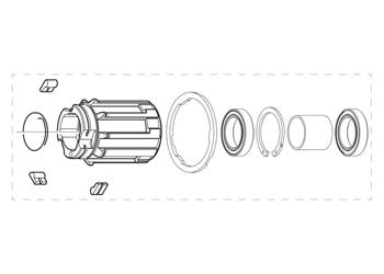 campagnolo Corpo Ruota Libera FH-BO015X1